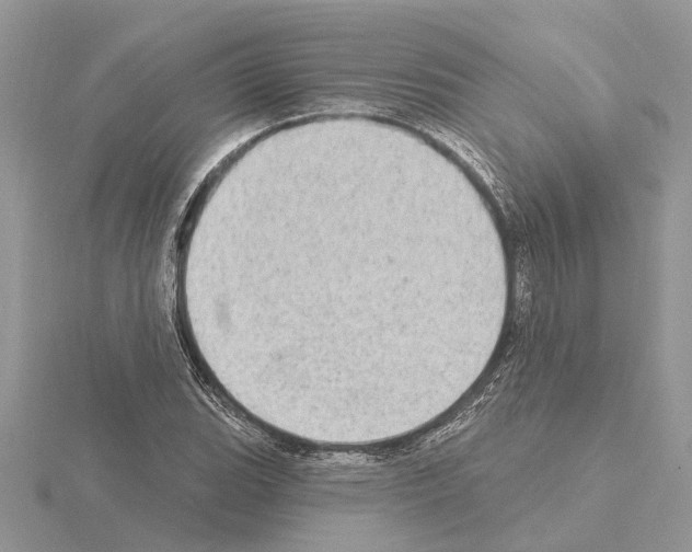 X0000115031119200912071043