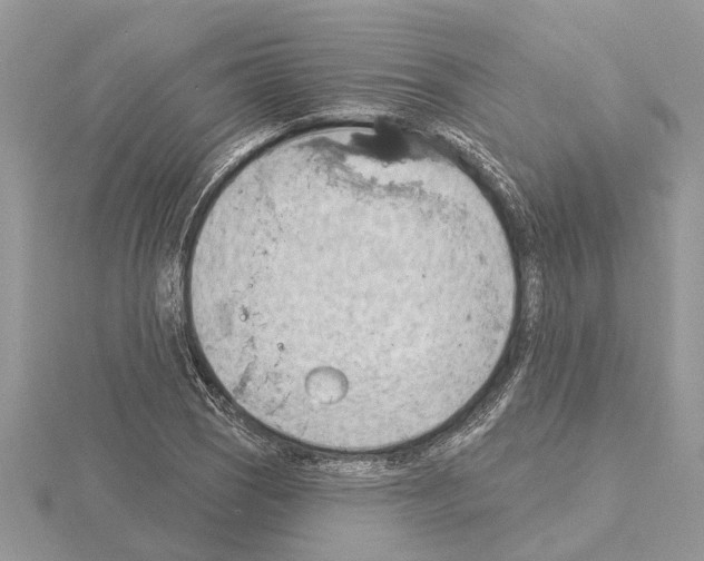 X0000115031121200912071043