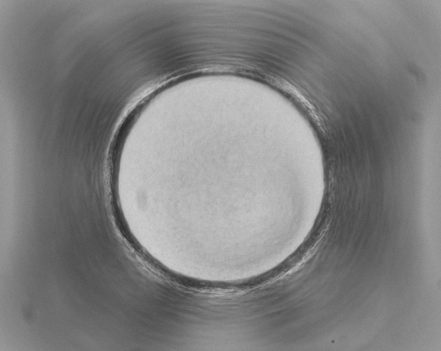 X0000115031122200912071043