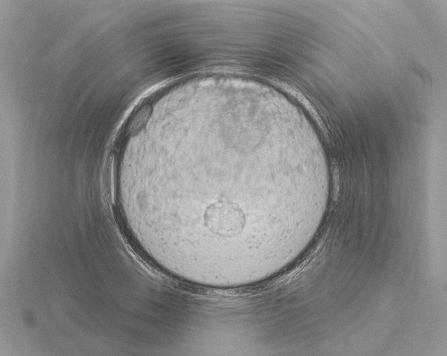 X0000115031123200912071043