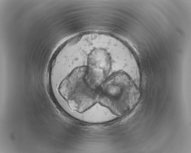 X0000115031125200912071043