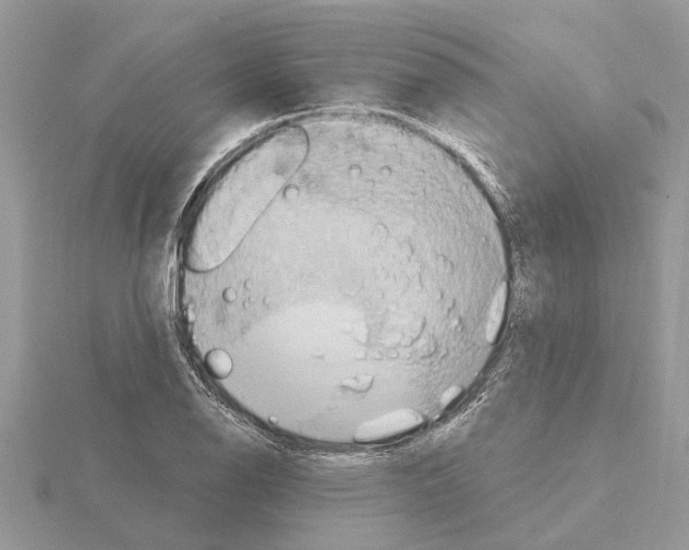 X0000115031126200912071043