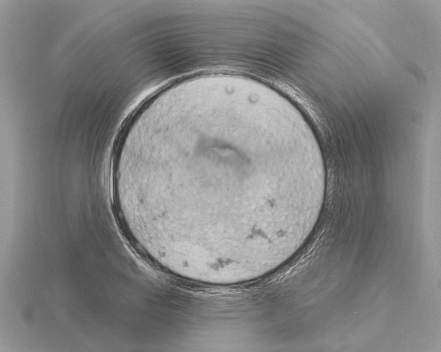 X0000115031127200912071043