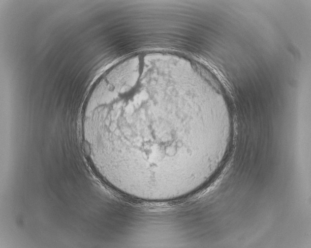 X0000115031129200912071043