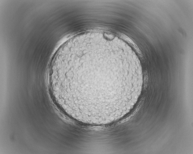 X0000115031130200912071043