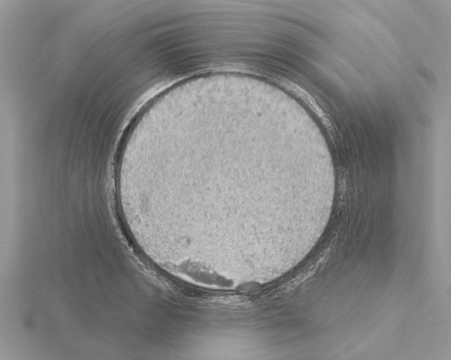 X0000115031133200912071043