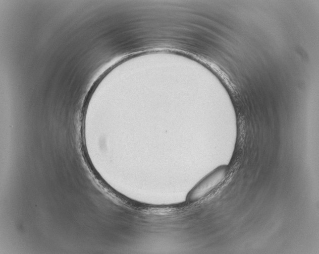 X0000115031134200912071043