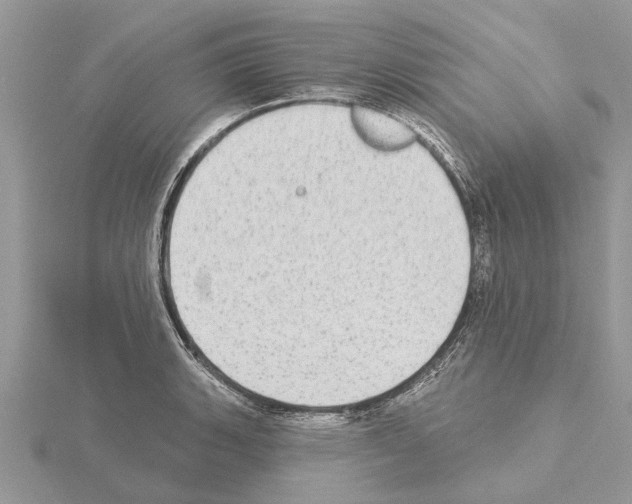 X0000115031135200912071043