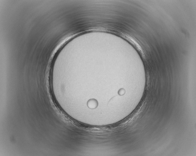 X0000115031138200912071043