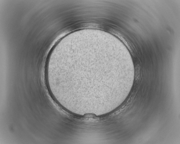 X0000115031139200912071043