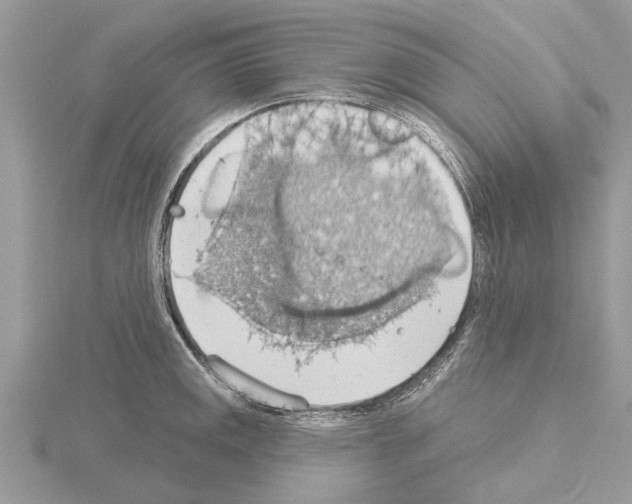 X0000115031141200912071043