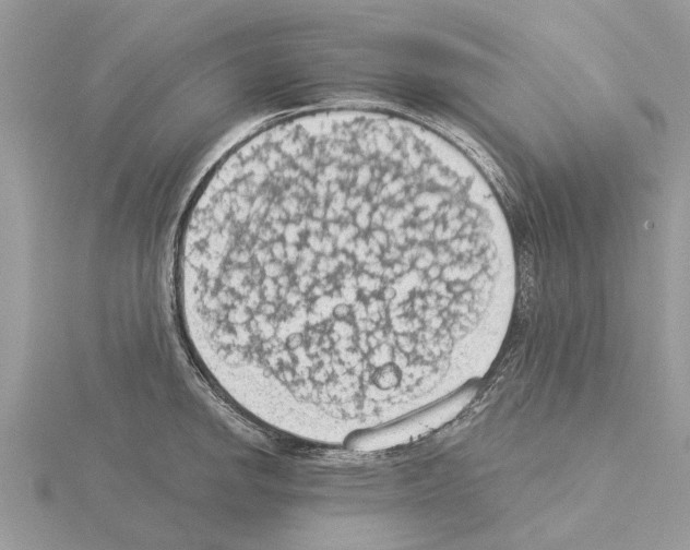 X0000115031142200912071043