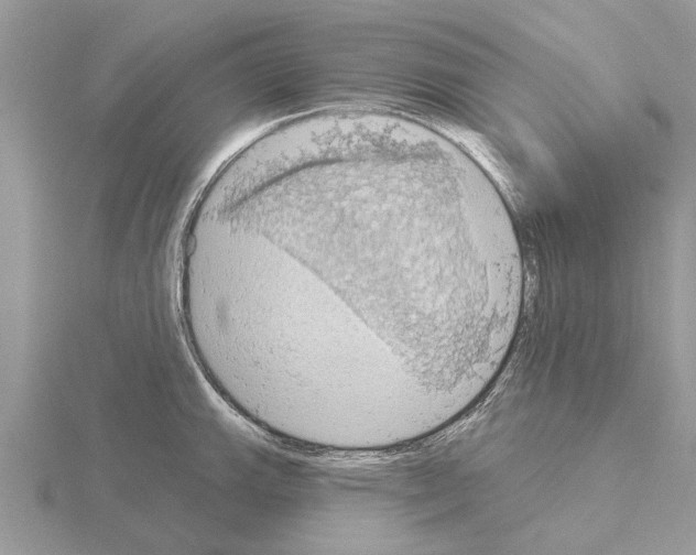 X0000115031143200912071043