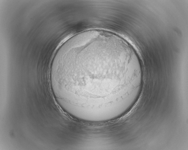 X0000115031145200912071043