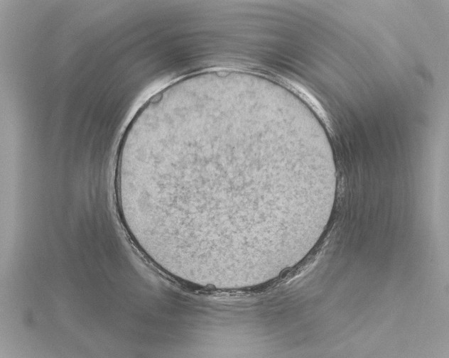 X0000115031146200912071043