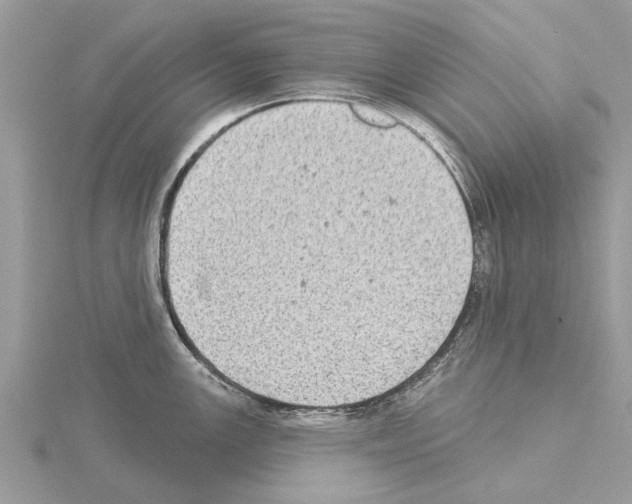 X0000115031147200912071043