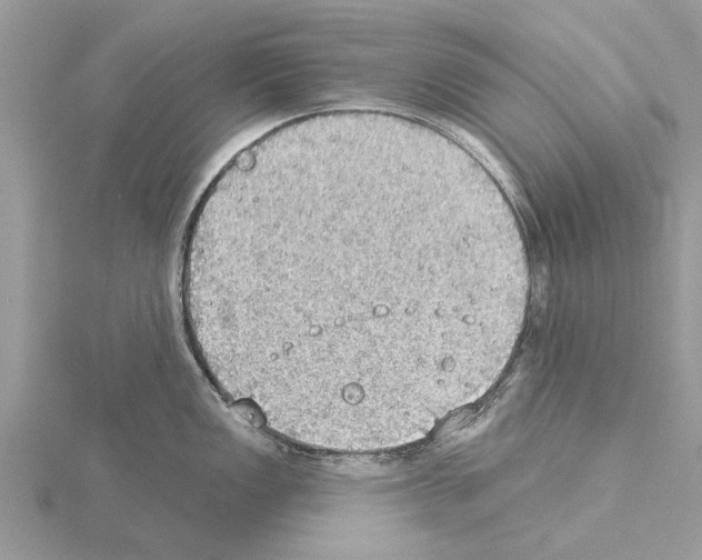 X0000115031149200912071043