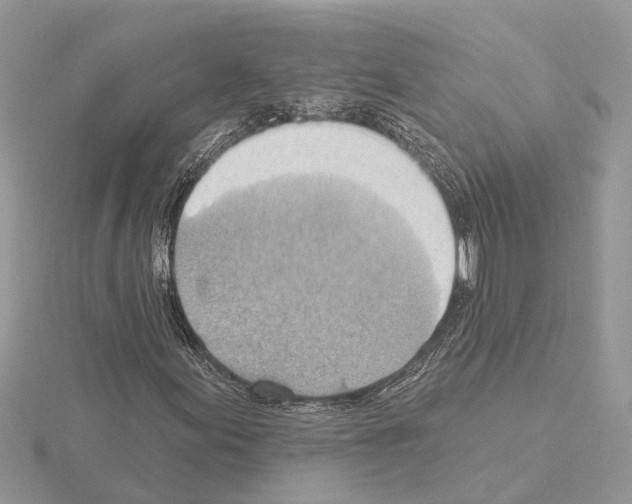 X0000115031155200912071042