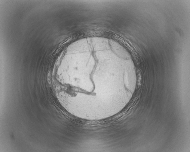 X0000115031156200912071042