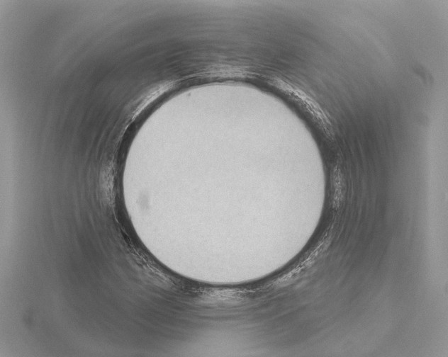 X0000115031162200912071042