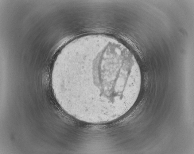 X0000115031163200912071042