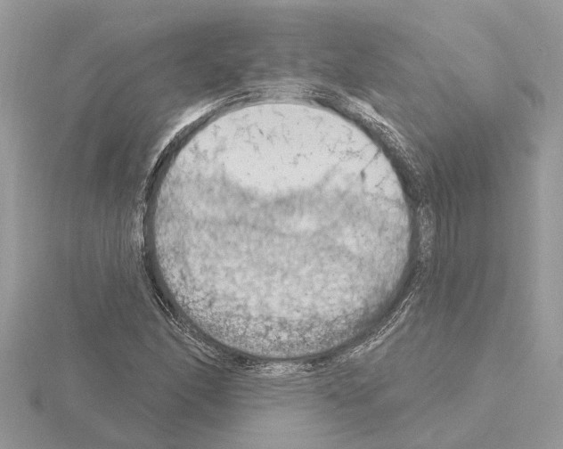 X0000115031166200912071042