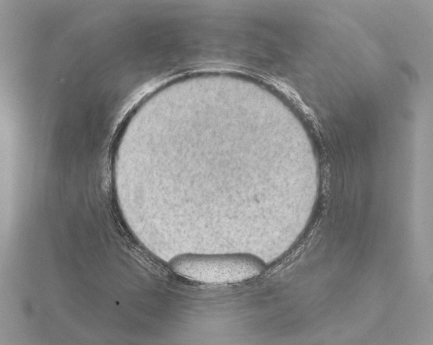 X0000115031167200912071042