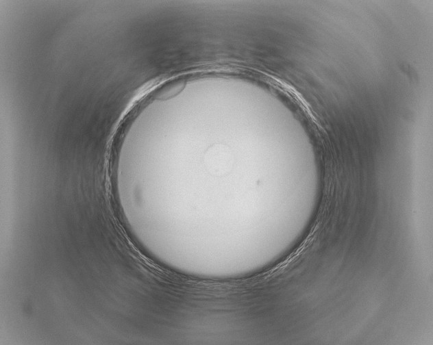 X0000115031168200912071042