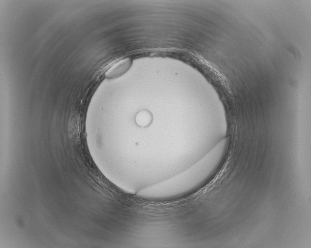 X0000115031169200912071042