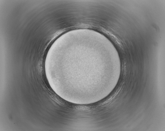 X0000115031170200912071042