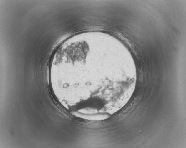 X0000115031171200912071042