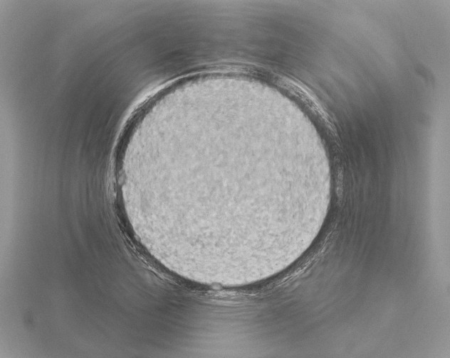 X0000115031172200912071042