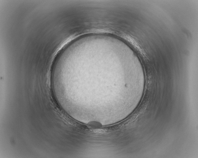 X0000115031173200912071042