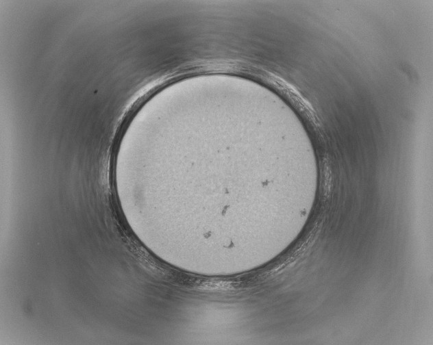 X0000115031174200912071042