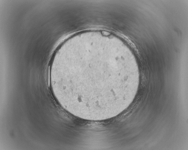 X0000115031175200912071042