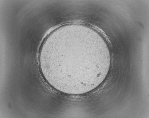 X0000115031176200912071042