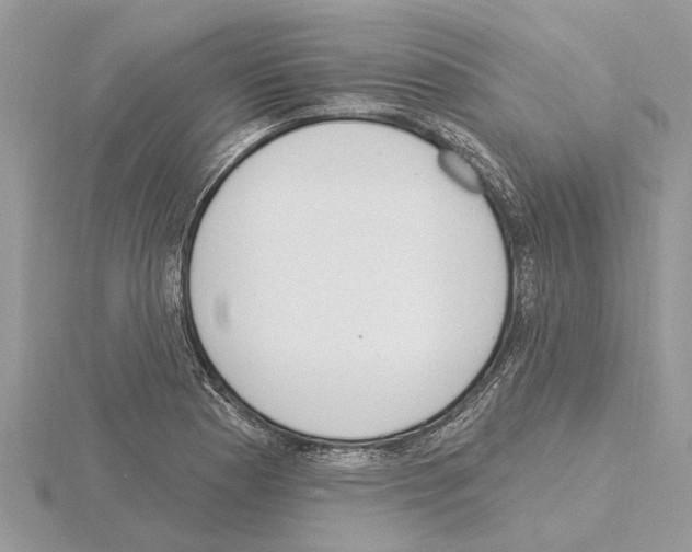 X0000115031177200912071042