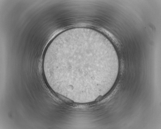 X0000115031178200912071042