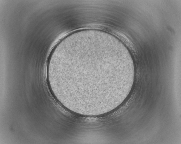 X0000115031180200912071042