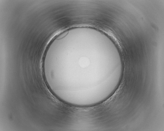 X0000115031181200912071042