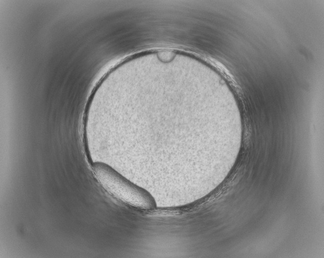 X0000115031183200912071042