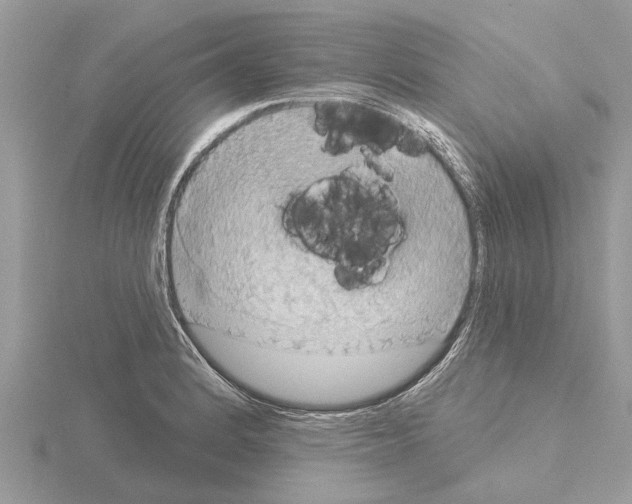 X0000115031184200912071042