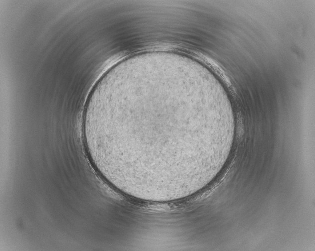 X0000115031186200912071042