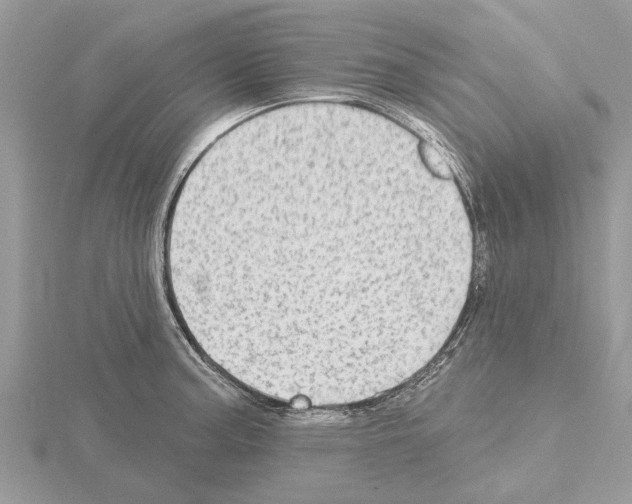 X0000115031187200912071042