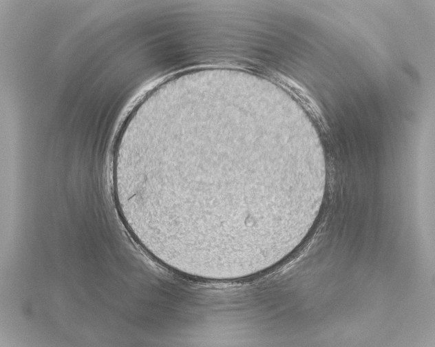 X0000115031188200912071042