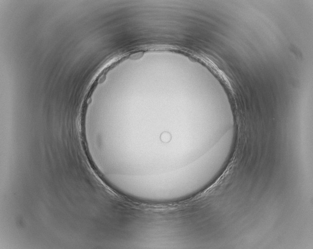 X0000115031189200912071042