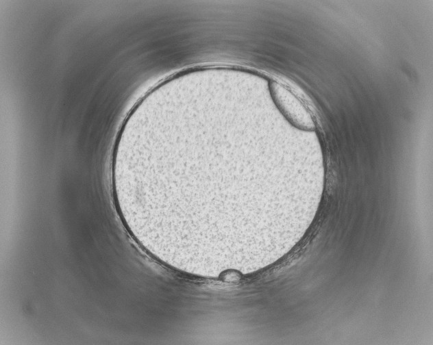 X0000115031191200912071042