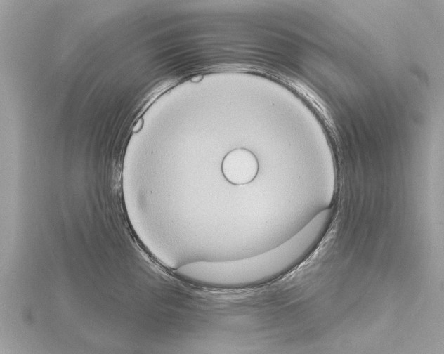 X0000115031193200912071042