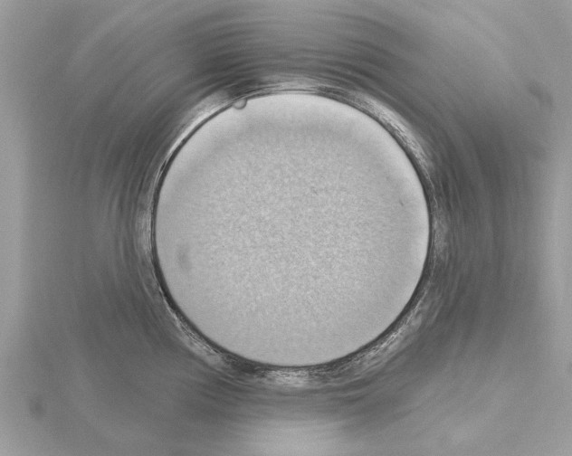 X0000115031194200912071042