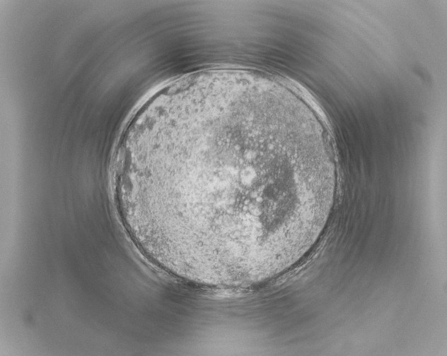 X0000115031195200912071042